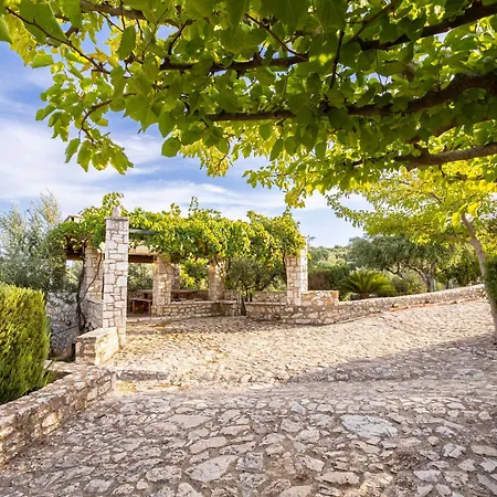 Stone In Groves - Sea & Mountain Views منزل ريفي