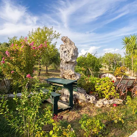 בית כפרי Stone In Groves - Sea & Mountain Views