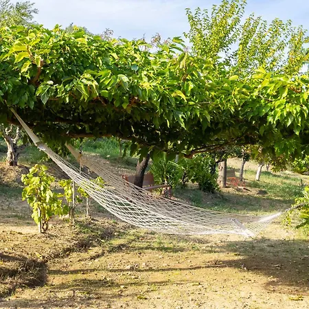 Kır Evi Stone In Groves - Sea & Mountain Views *