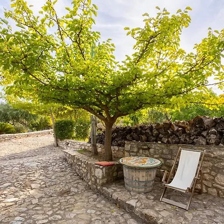 Stone In Groves - Sea & Mountain Views منزل ريفي
